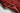 Ziegler Rood 2890 Default Title