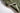 Ziegler Geel 2895 Default Title