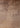 Damask Beige 4981 Default Title