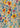 Sari silk Multi 3749 Default Title