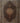 Tabriz 6186